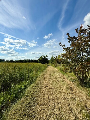 A walk in Sigoules