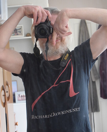 DSC_0013a